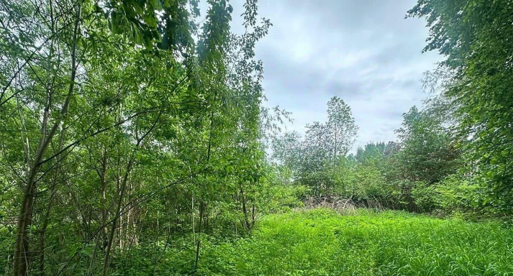 Земельный участок, 9.7 сотки Балашиха - изображение 3