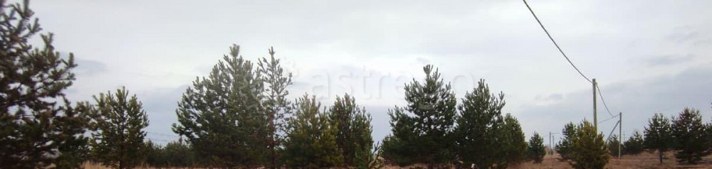 Земельный участок, 15 соток Березовка - изображение 2