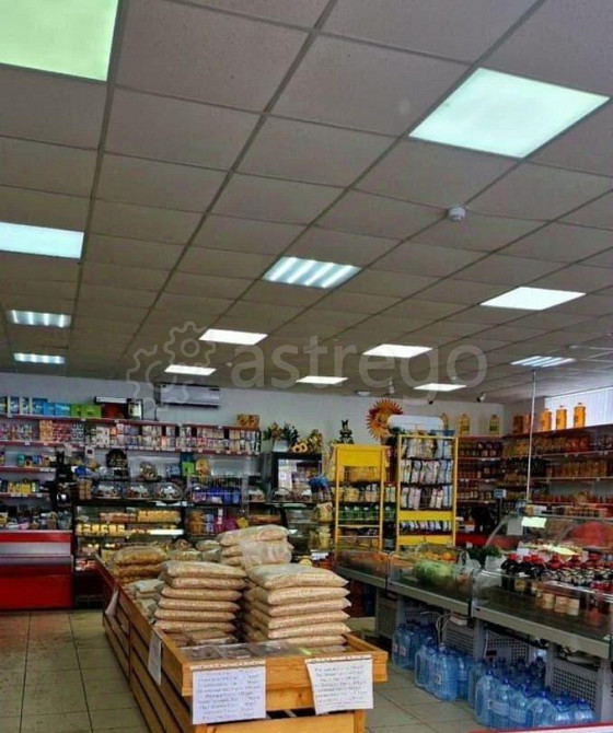 Торговое помещение, 300 м Майкоп - изображение 4