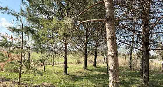 Земельный участок, 10.3 сотки Пушкино