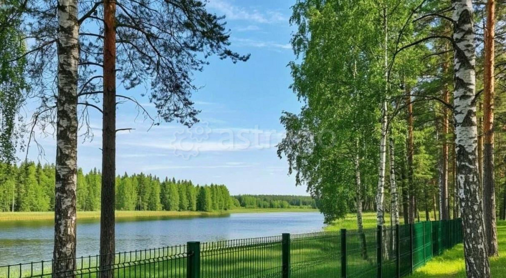 Земельный участок, 11 соток Руза - изображение 2