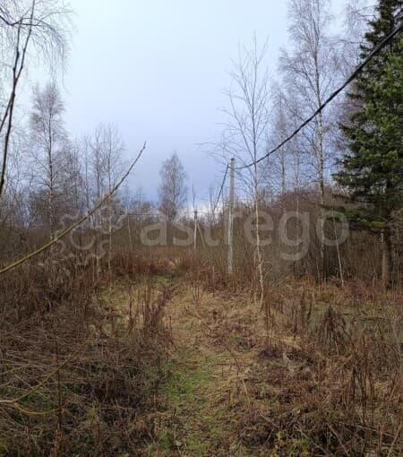 Земля с/х назначения, 7.8 сотки Солнечногорск - изображение 7