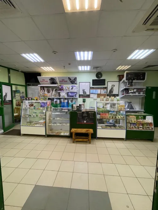 Сдам помещение свободного назначения, 84.3 м2, долгосрочно Челябинск - изображение 3