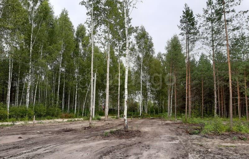 Земля с/х назначения, 8 соток Павловский Посад - изображение 2