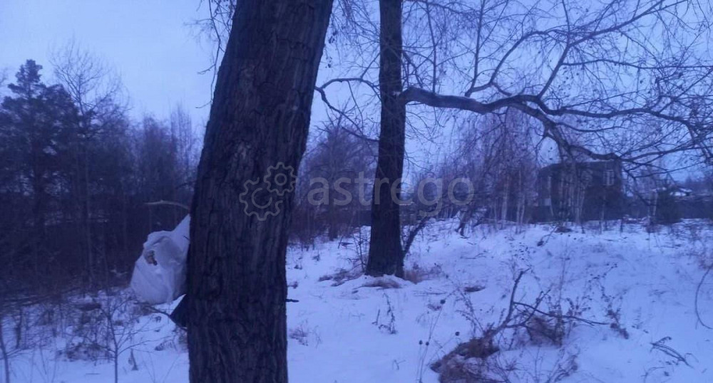 Земельный участок, 9.67 га Березовка - изображение 3