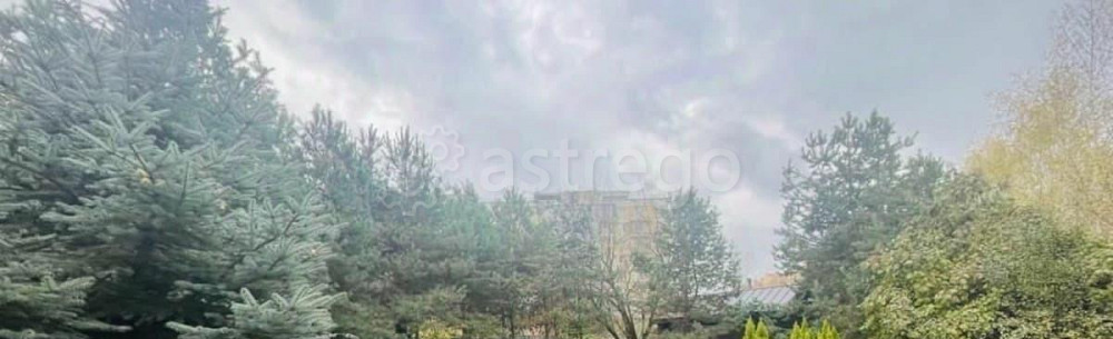 Коттедж, 340 м2, 17 соток, 2 эт. Звенигород - изображение 6