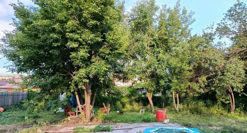 Земельный участок, 8 соток Благовещенск - изображение 5