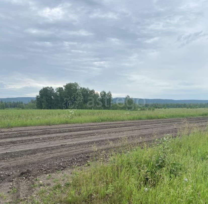 Земельный участок, 10 соток Емельяново - изображение 2