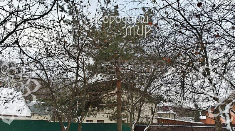 Коттедж, 347 м2 Москва - изображение 5