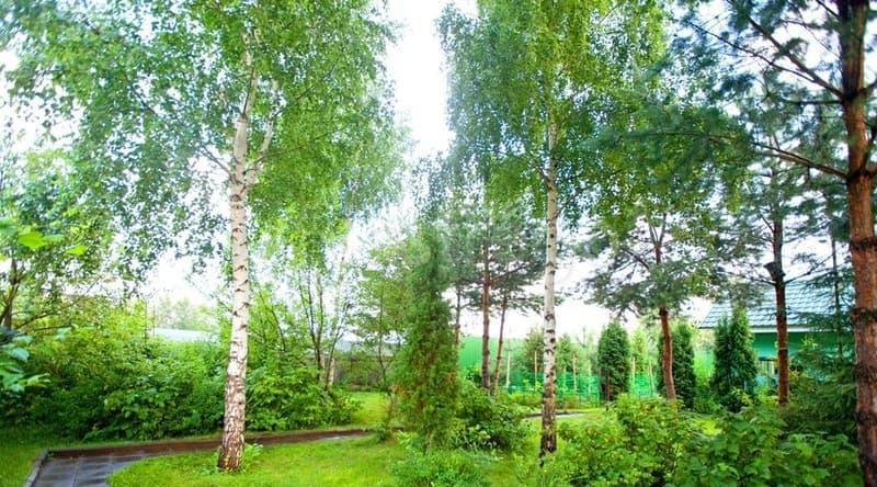 Коттедж, 950 м2 Электроугли - изображение 7