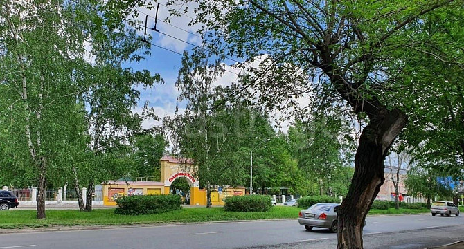 Торговое помещение, 63.2 м2 Барнаул - изображение 6