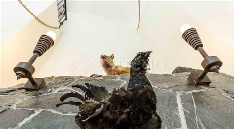 Коттедж, 650 м2 Санкт-Петербург - изображение 7