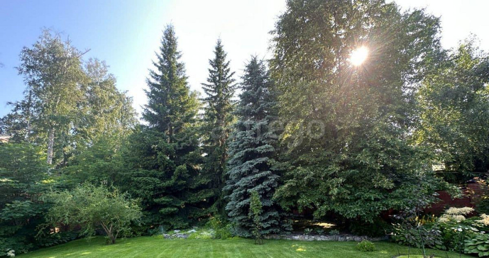 Коттедж, 450 м2, 24 сотки, 3 эт. Барнаул - изображение 4