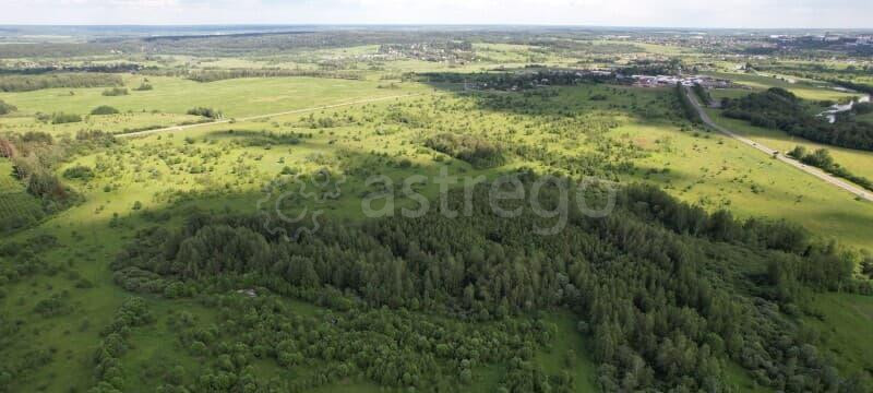 Земля с/х назначения, 30 га Можайск - изображение 3