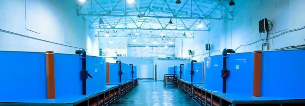 Производственное, 1000 м2 Благовещенск - изображение 1