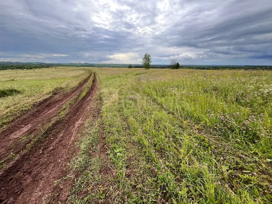 Продам участок, Фермерский, 30000 сот. Пермь - изображение 6