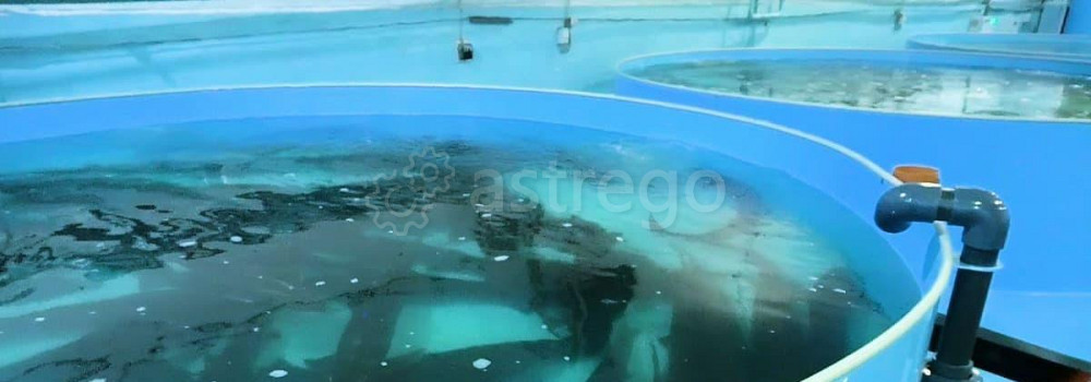 Производственное, 1000 м2 Благовещенск - изображение 7