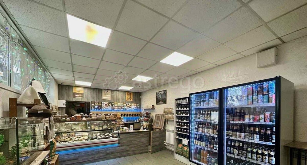 Торговое помещение, 87.8 м2 Щёлково - изображение 4