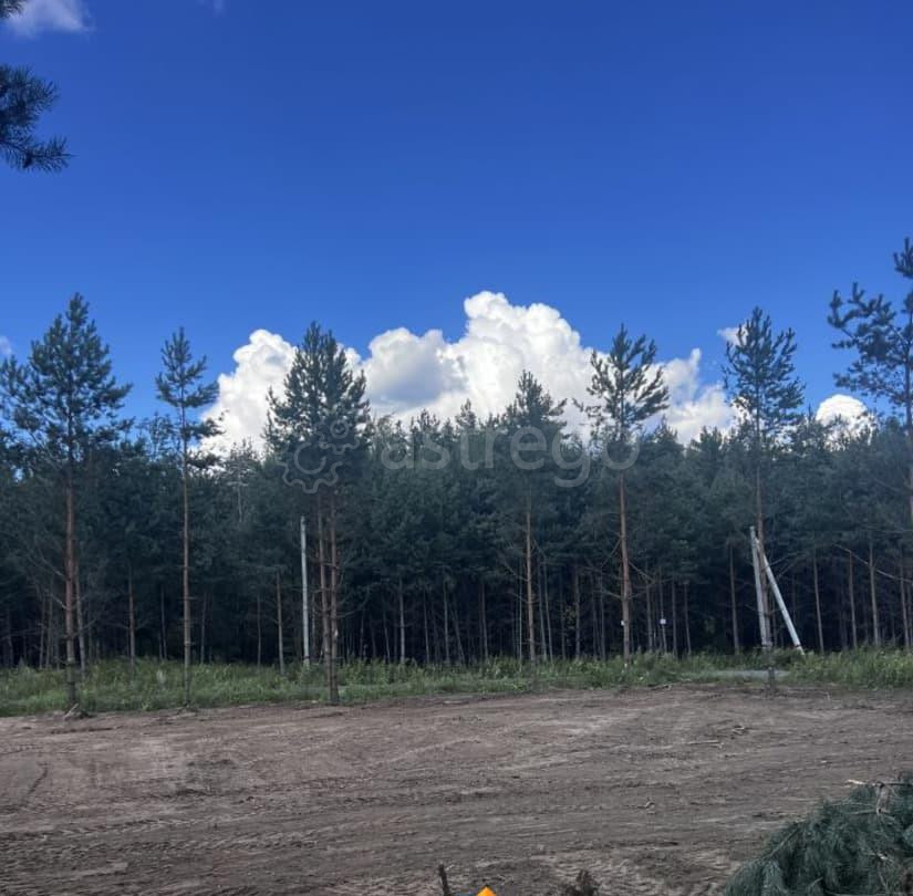 Земельный участок, 8 соток Раменское - изображение 7