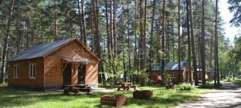 Готовый бизнес, 1000 м2 Звенигород - изображение 1