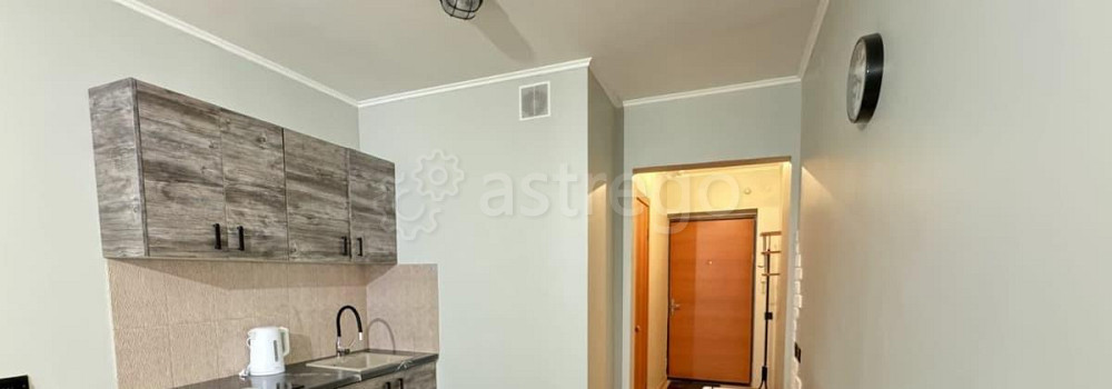 Студия, 26 м2, 19/27 эт. Красноярск - изображение 5