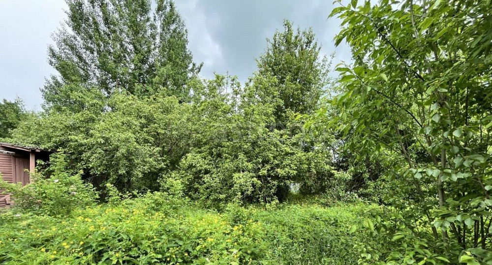 Земельный участок, 7.8 сотки Санкт-Петербург - изображение 2