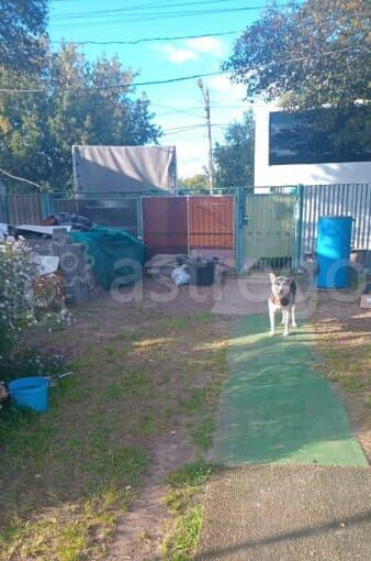 Дом, 40 м2 Истра - изображение 2