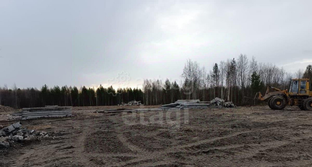Земельный участок, 3.05 га Новодвинск - изображение 6