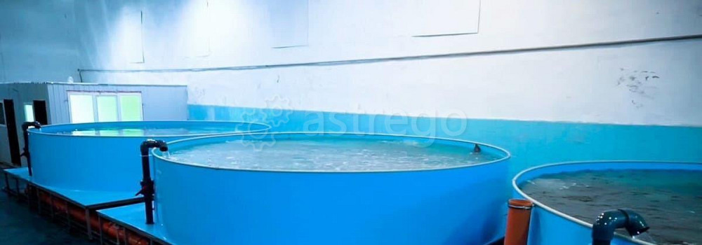 Производственное, 1000 м2 Благовещенск - изображение 5