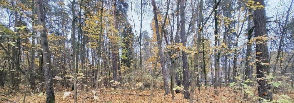 Земельный участок, 16.76 сотки Королев - изображение 7