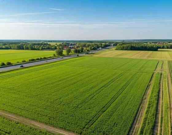 Земля промышленного назначения, 50 соток Чехов