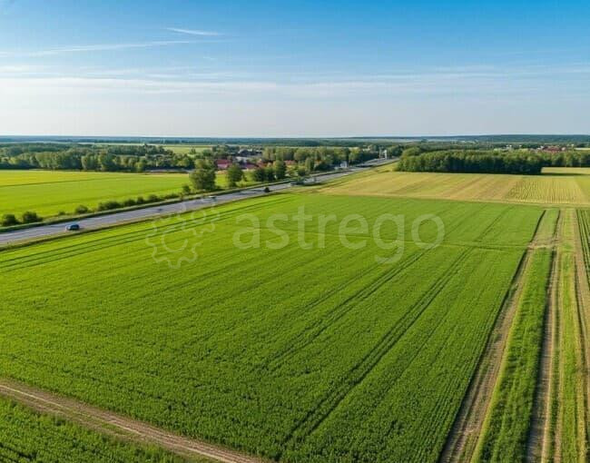 Земля промышленного назначения, 50 соток Чехов - изображение 1