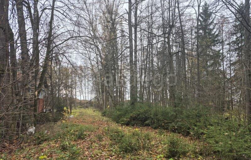 Коммерческий участок, 8.39 га Можайск - изображение 10