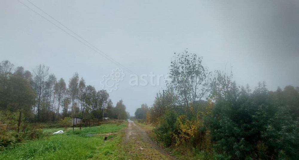 Дом, 24 м2, 15 соток, 1 эт. Шаховская - изображение 7