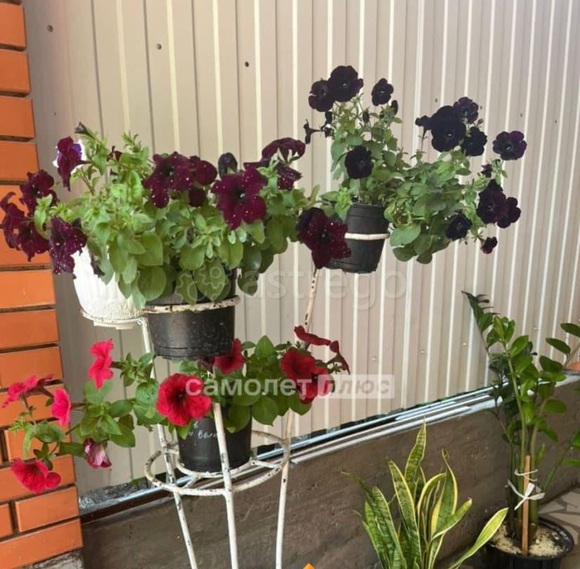 Коттедж, 92 м2, 4.17 га, 1 эт. Белгород - изображение 3