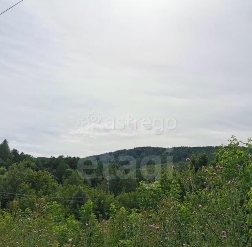 Земельный участок, 0.65 га Белокуриха - изображение 6