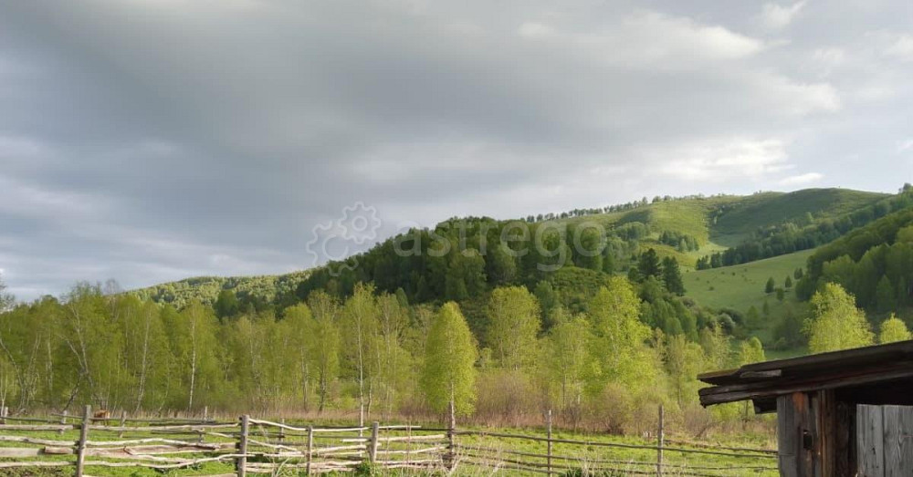 Земельный участок, 100 га Алтайское - изображение 5