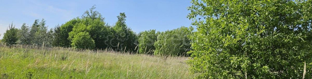 Земельный участок, 10.08 сотки Луховицы - изображение 1