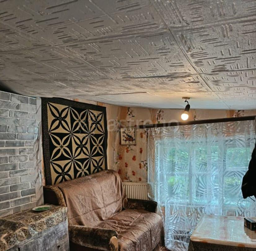 Дом, 30 м2, 1 сотка Барнаул - изображение 7