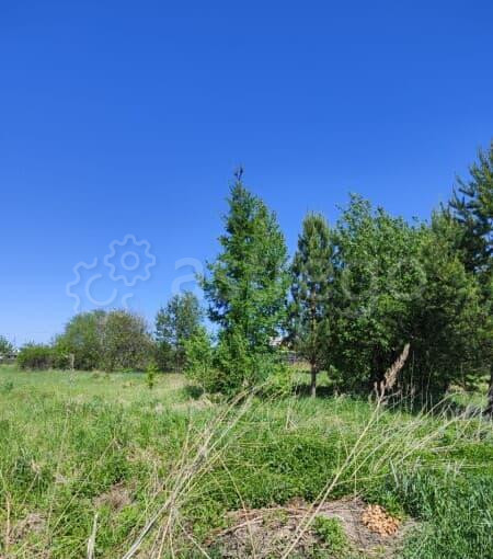 Земля с/х назначения, 9 соток Сосновоборск - изображение 2