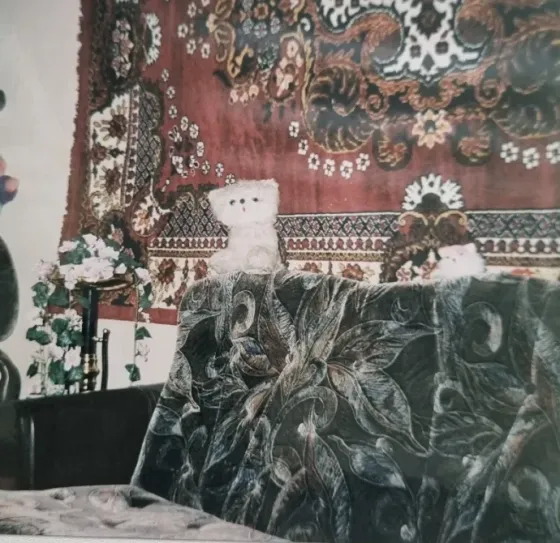 Продам дом 100 м2, ИЖС 16 соток, 1 эт. Джанкой