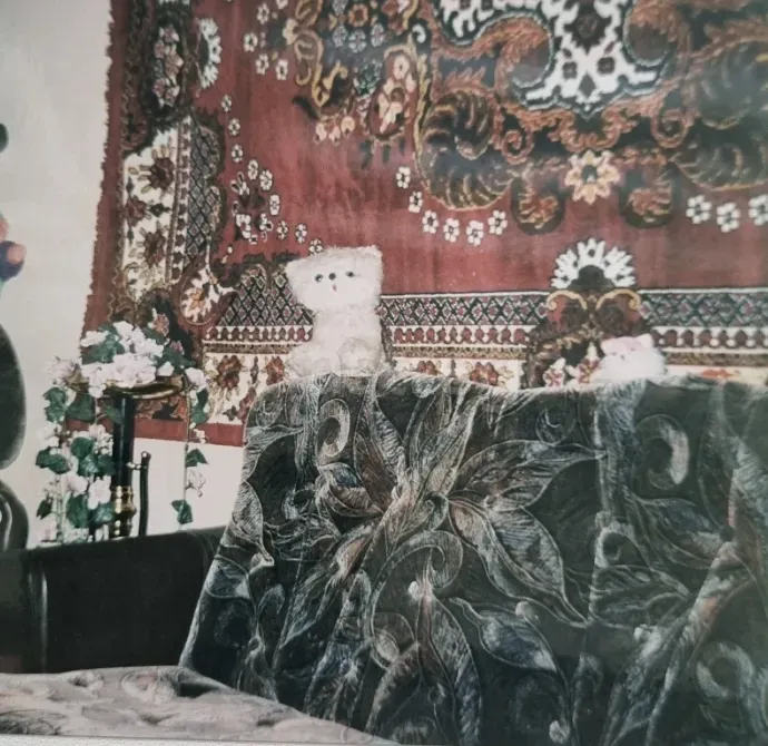 Продам дом 100 м2, ИЖС 16 соток, 1 эт. Джанкой - изображение 6