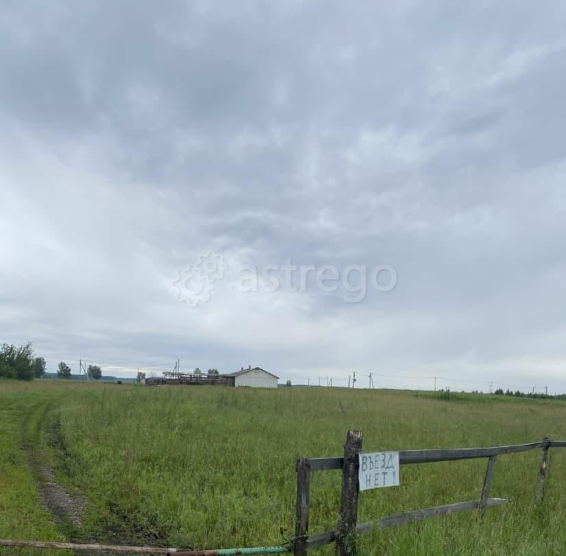 Земельный участок, 10 соток Емельяново - изображение 5