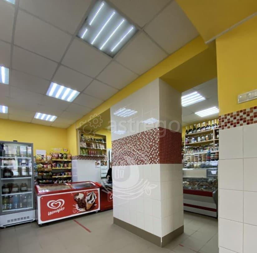 Торговое помещение, 50.6 м2 Барнаул - изображение 4