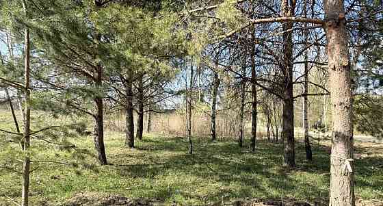 Земельный участок, 10.3 сотки Пушкино