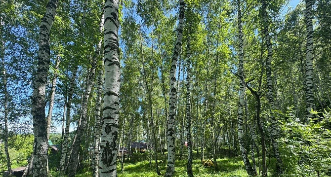 Земельный участок, 22 сотки Алтайское - изображение 3