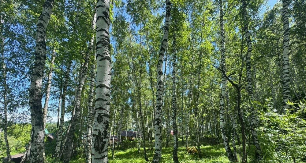 Земельный участок, 22 сотки Алтайское - изображение 3