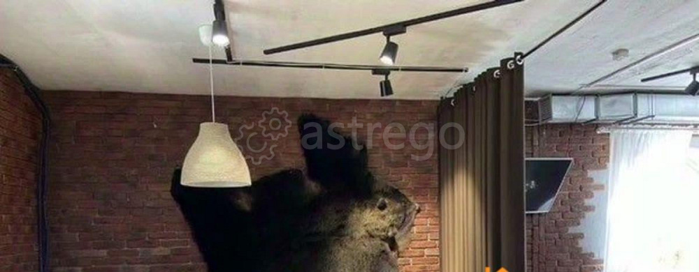 Свободного назначения, 250 м2 Вельск - изображение 5