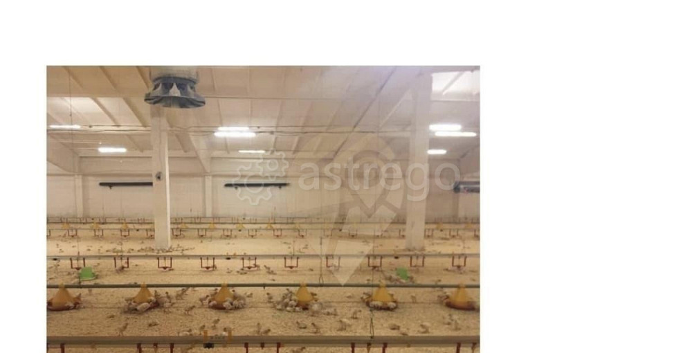 Торговое помещение, 3200 м2 Старый Оскол - изображение 3