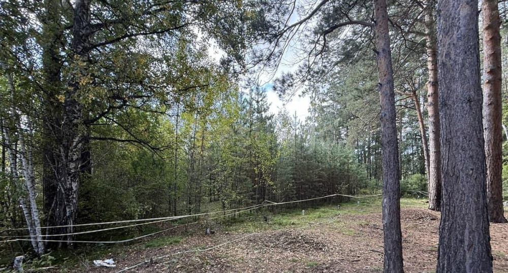 Земельный участок, 15 соток Красноярск - изображение 5